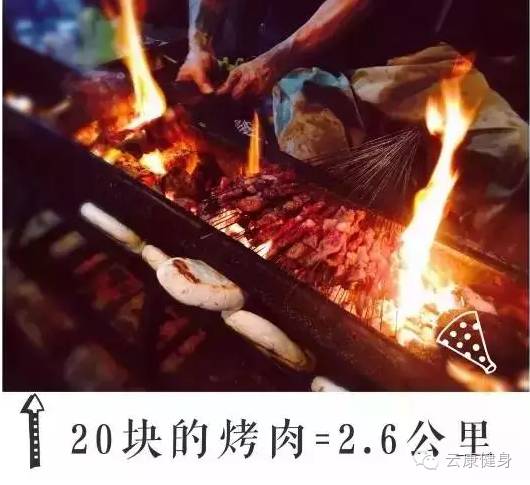 王中王313期指一生肖——揭秘生肖運勢與人生軌跡的獨特聯(lián)系，揭秘生肖運勢與人生軌跡的獨特聯(lián)系，王中王313期指一生肖詳解