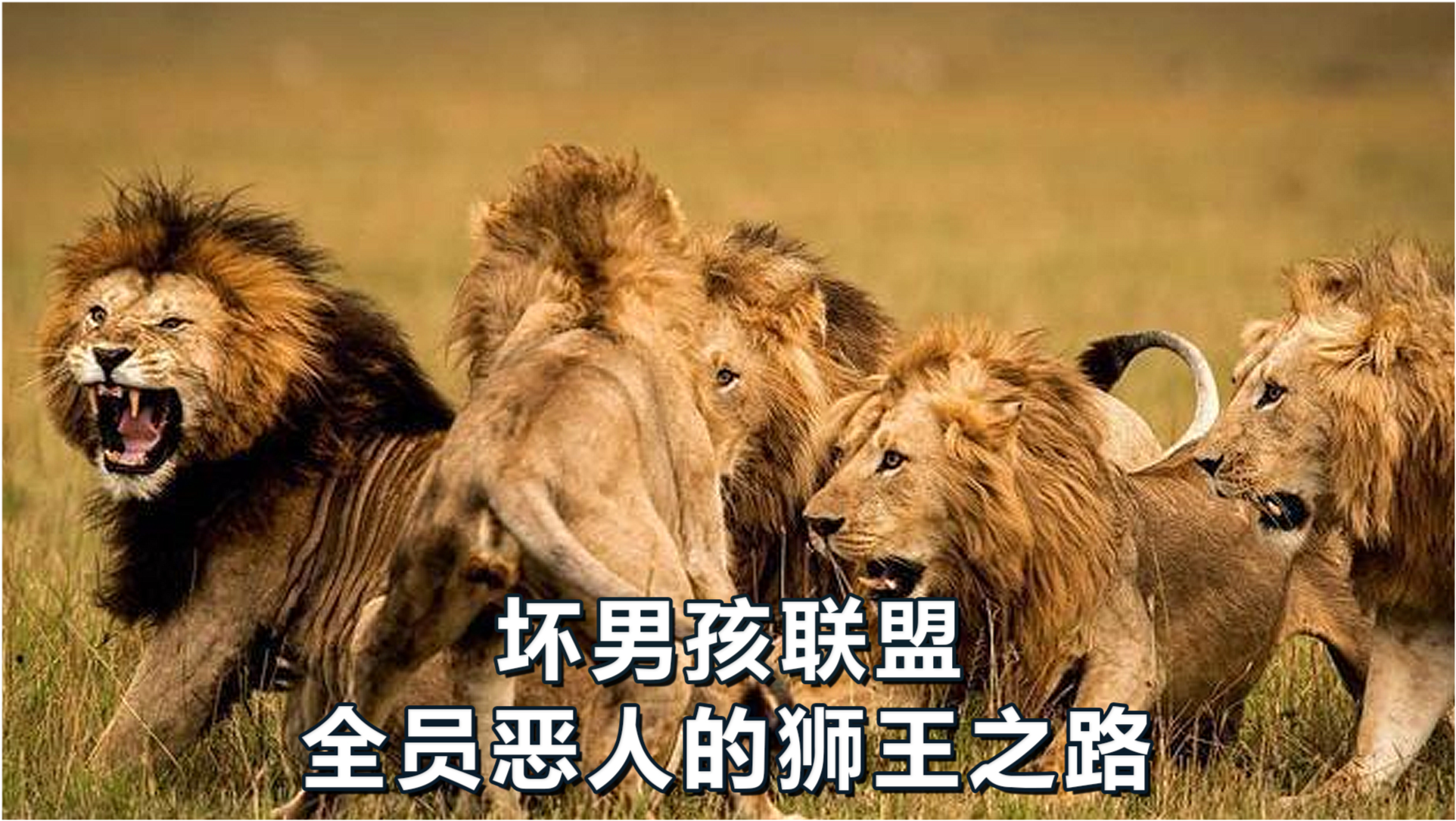 王中王必中一肖四不像圖——深度解析與探索，王中王必中一肖四不像圖深度解析與探索揭秘