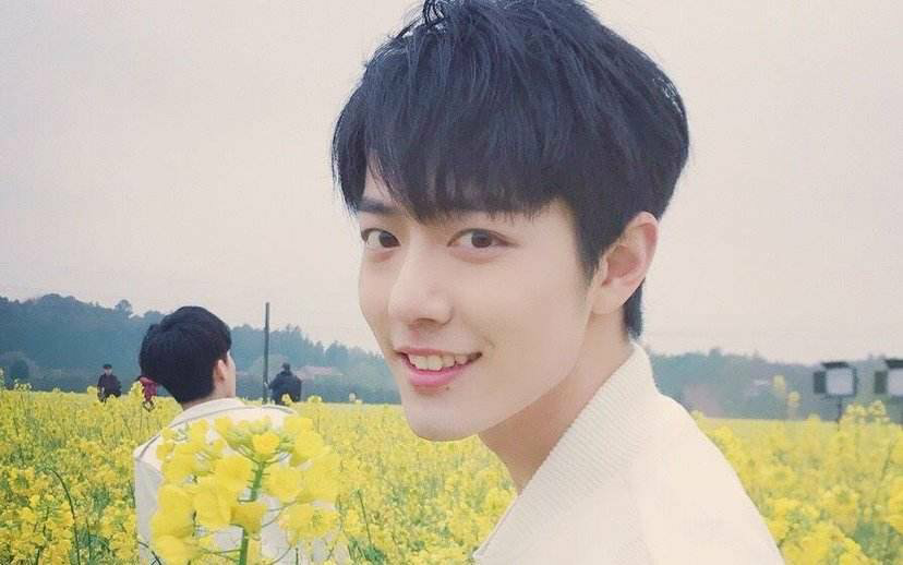 平肖一特,揭秘數字背后的故事與未來趨勢分析(平肖一特100 19),平肖一特數字背后的故事與未來趨勢深度解析(含最新分析)