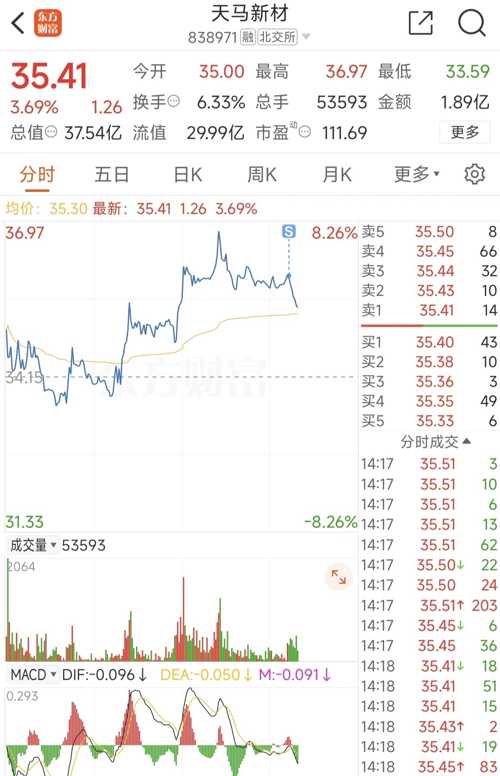 天馬微電子股票，投資前景深度解析，天馬微電子股票投資前景深度解析