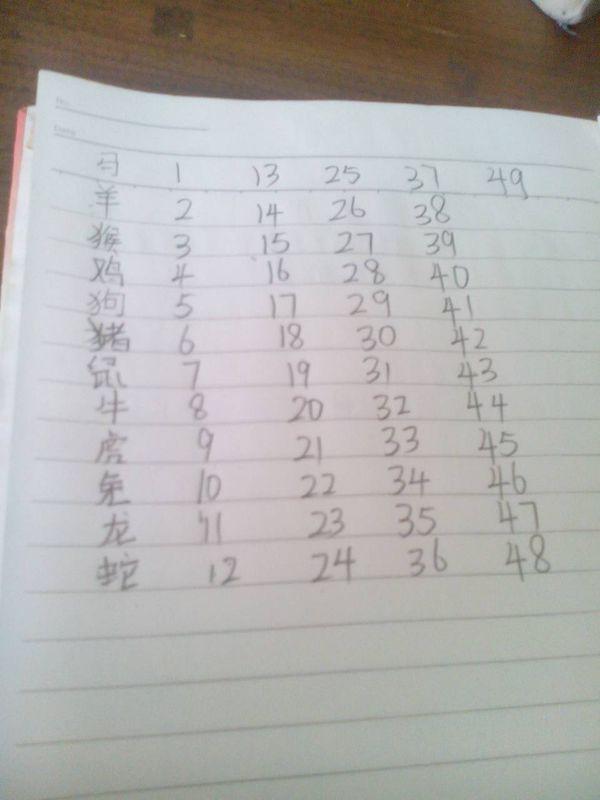 2025十二生肖與49碼表對(duì)照解析，十二生肖與49碼表對(duì)照解析 預(yù)測(cè)未來(lái)走向