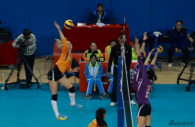 王中王三肖選一肖，深度解析與SEO策略，王中王三肖選一肖，深度解析與SEO策略全攻略