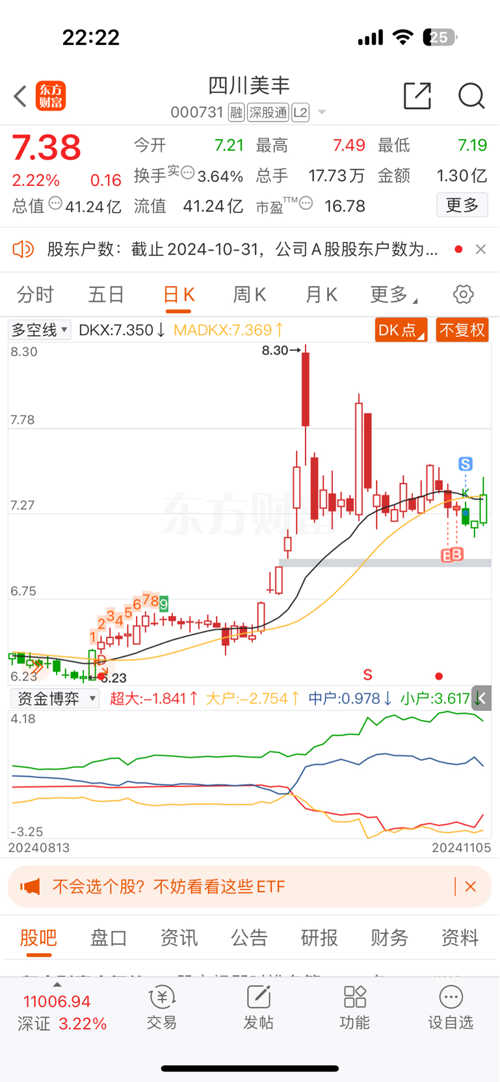 四川美豐股份股票，深度解析與發展前景展望，四川美豐股份股票深度解析與未來發展前景展望