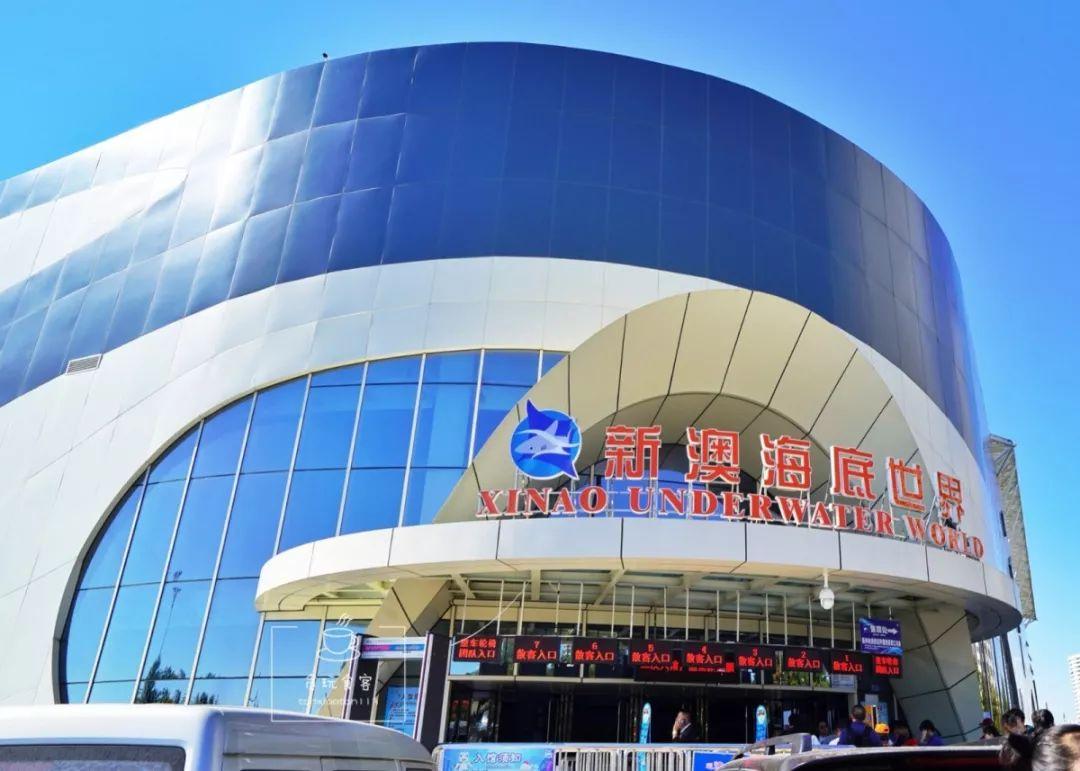 新澳今晚9:30開啟精彩之夜,不容錯過的活動與盛宴!,新澳精彩之夜9:30啟幕,盛宴活動不容錯過