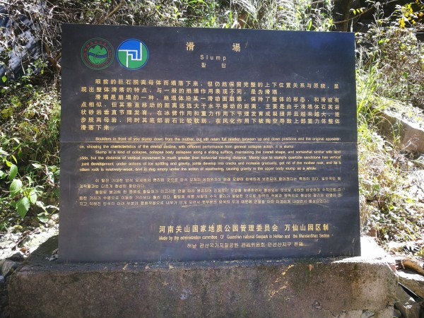 王中王084期指一生肖,深度解析與SEO優化策略,王中王084期生肖深度解析與SEO策略優化探討