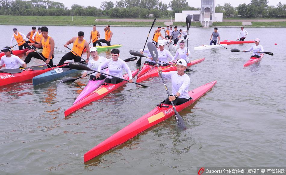 王中王一碼一肖免費公開,揭秘精準預測的秘密,揭秘王中王一碼一肖精準預測的秘密,免費公開揭秘!