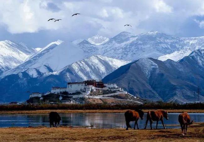 西藏旅行攻略,探索高原之美的絕佳指南,西藏旅行攻略,高原美景探索指南