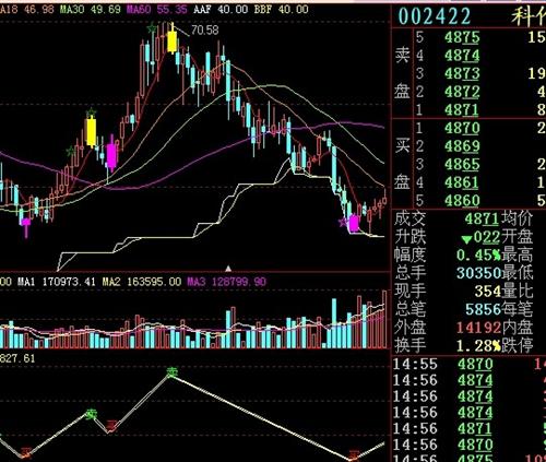 關于股票投資，深度解析002422股票的投資價值，深度解析，股票投資中的002422股票投資價值探究