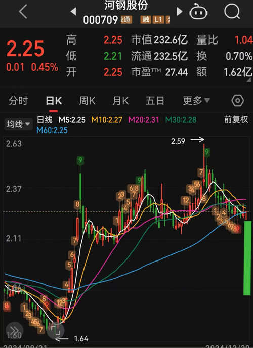 河鋼股票（代碼，000709）深度解析與前景展望，河鋼股票（代碼000709）深度解析及未來前景展望