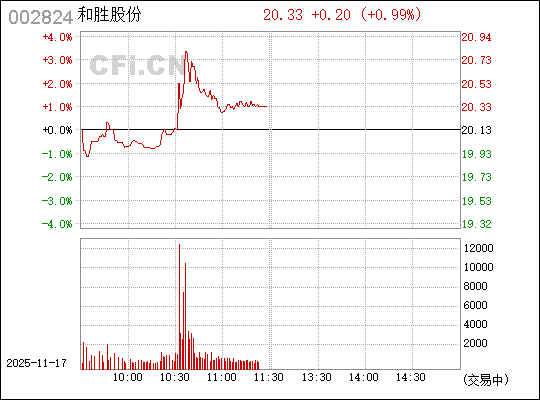 關于股票002824的全面解析與前景展望,股票002824深度解析與未來展望
