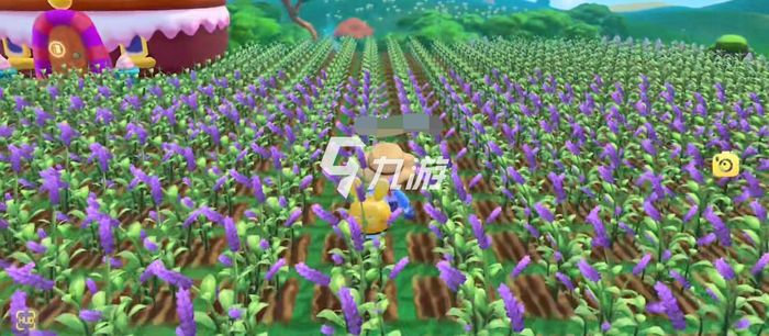 摩爾莊園紫羅蘭種子，種植與優(yōu)化的SEO策略，摩爾莊園紫羅蘭種子種植與SEO策略優(yōu)化指南