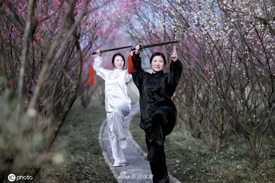 揭秘劉伯溫一期一肖期期中的奧秘與真相，劉伯溫一期一肖期奧秘與真相揭秘