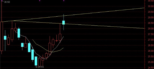 探索神秘的股市密碼，關于002554股吧的深度解析，深度解析股市密碼，揭秘002554股吧奧秘