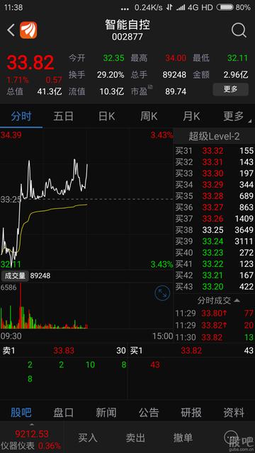 揭秘股票代碼002877，投資潛力與前景展望，揭秘股票代碼002877，投資潛力與未來前景展望