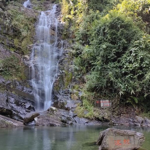 鼎湖山景區(qū)旅游攻略,探索自然之美,體驗(yàn)獨(dú)特風(fēng)情,鼎湖山景區(qū)旅游攻略,自然之美與獨(dú)特風(fēng)情探索之旅