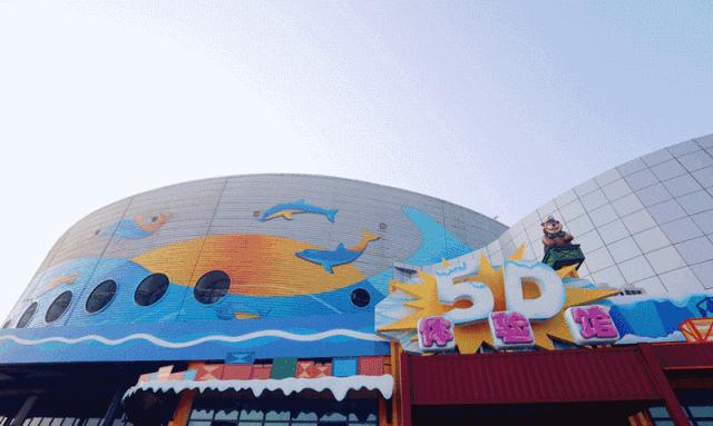 青島極地海洋館，探索神秘海洋的絕佳之地，青島極地海洋館，神秘海洋探索之旅的絕佳之地