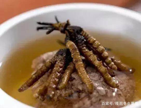 蟲草的最佳吃法，蟲草的最佳食用方法
