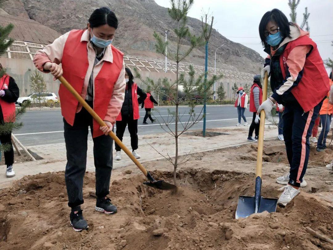 天下彩天天空彩資料免費大全管家，探索與解析，天下彩天天空彩資料大全管家，深度探索與解析