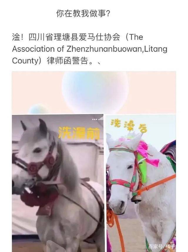 一馬爆特圖，揭秘背后的故事與SEO優化策略，揭秘一馬爆特圖的背后故事與SEO優化策略全攻略