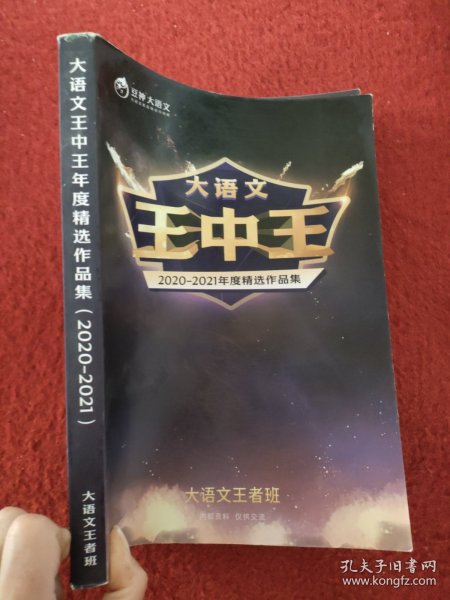 揭秘2021王中王資料一肖中v，深度解析與前瞻，揭秘與深度解析，王中王資料一肖中v的前瞻報告（2021版）