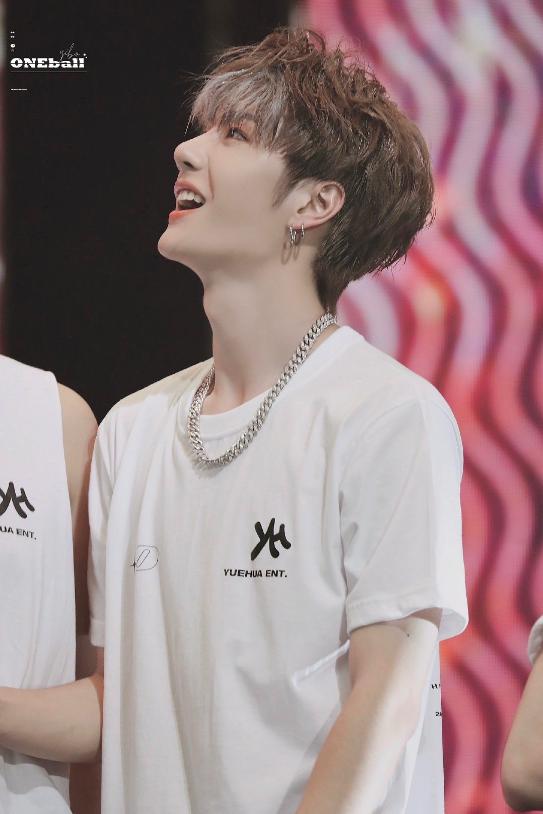 管家婆王中王一肖圖，揭秘背后的故事與神秘魅力，揭秘管家婆王中王一肖圖的神秘面紗與背后故事