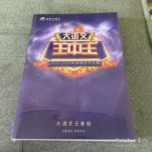 王中王資料2019一肖,深度解析與最新資訊,王中王資料2019一肖深度解析與最新資訊匯總