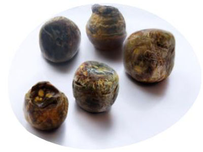 膽結(jié)石最怕一味中藥,探索治療膽結(jié)石的天然良藥,探索膽結(jié)石的天然良藥,中藥中的克星