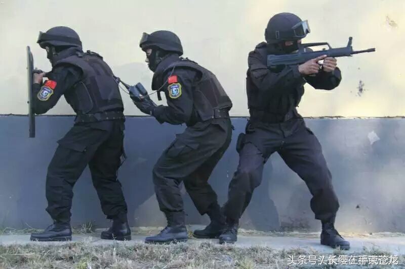 雪豹突擊隊,神秘力量背后的故事,雪豹突擊隊,神秘力量背后的傳奇故事