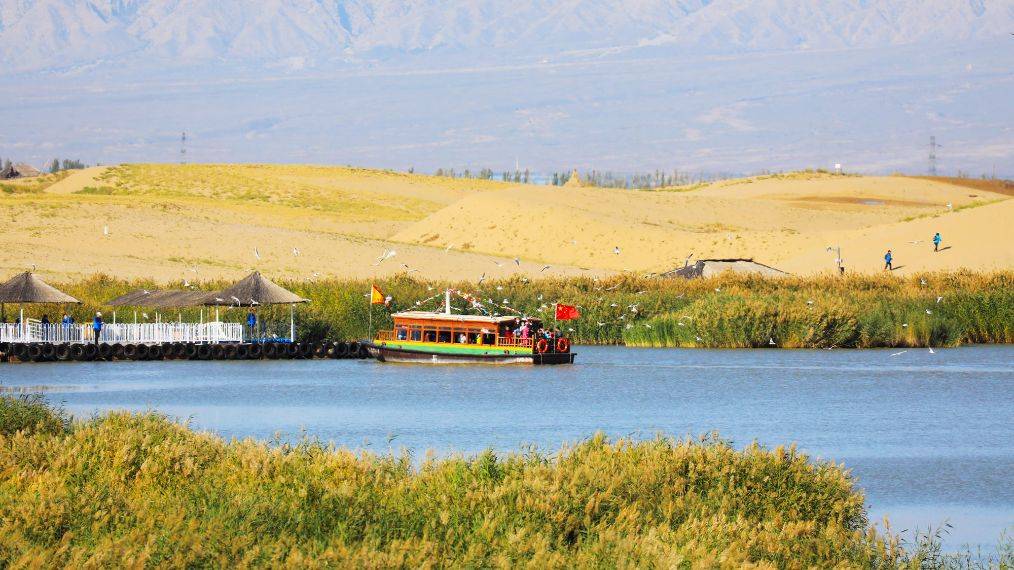 寧夏沙湖旅游景點介紹，寧夏沙湖旅游勝地探秘，景點詳解