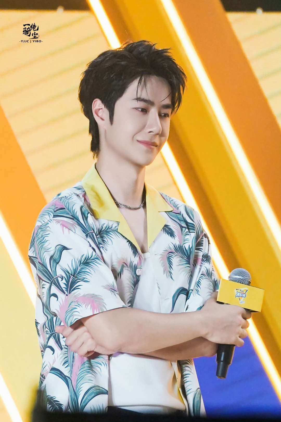 王中王一肖中特家婆，深度解讀背后的故事與奧秘，王中王一肖背后的故事與奧秘深度解讀