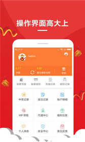 王中王一肖網(wǎng)站是什么——深度解析，王中王一肖網(wǎng)站深度解析，探索其真實(shí)身份與特性