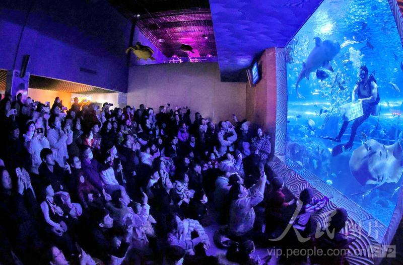 新澳2025今晚開(kāi)獎(jiǎng)結(jié)果，揭秘彩票背后的秘密與期待，揭秘新澳2025彩票開(kāi)獎(jiǎng)背后的秘密與期待，今晚開(kāi)獎(jiǎng)結(jié)果揭曉！