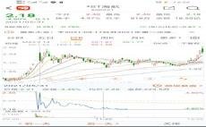 探索股市新星，600221股吧的獨特魅力與投資機會，揭秘股市新星，探索600221股吧的獨特魅力和投資機會