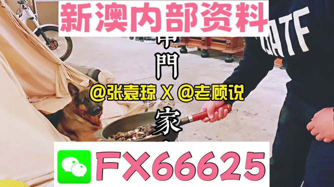 澳門正版管家婆資料大全，全面解析與深度探索，澳門正版管家婆資料大全，全面解析與深度探索之旅