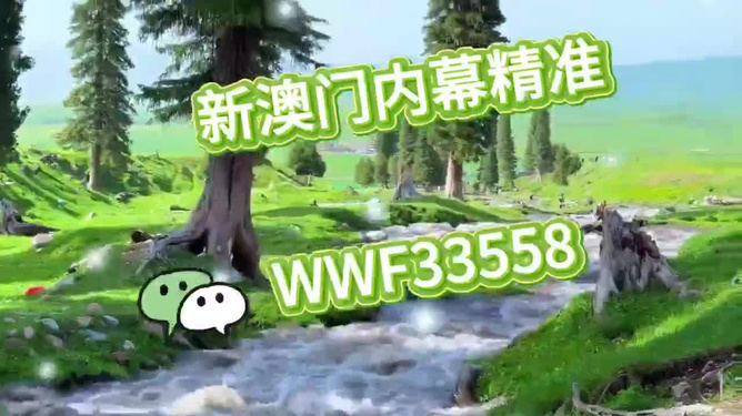 揭秘今晚9點30澳門生肖運勢，掌握好運之門，揭秘澳門生肖運勢，今晚9點30的好運之門開啟！