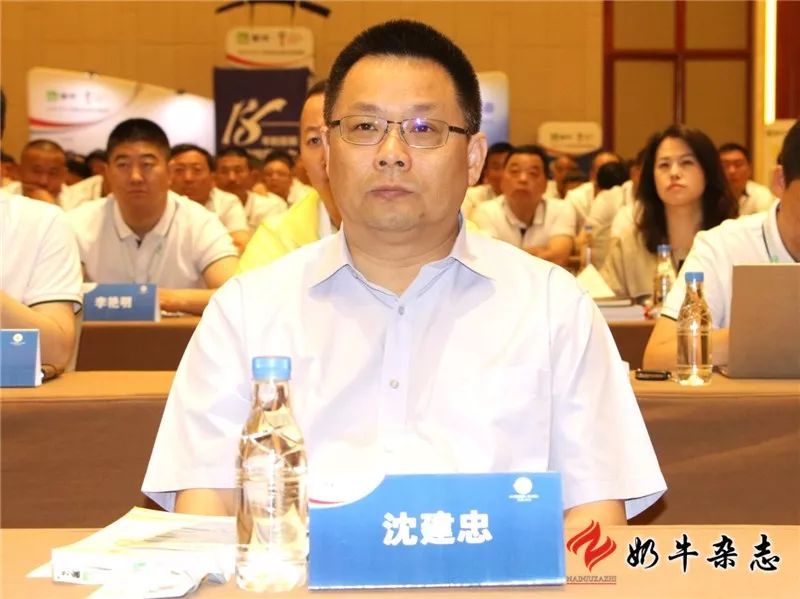 王中王一平特肖，揭秘第100期的秘密，揭秘第100期秘密，王中王一平特肖獨家爆料