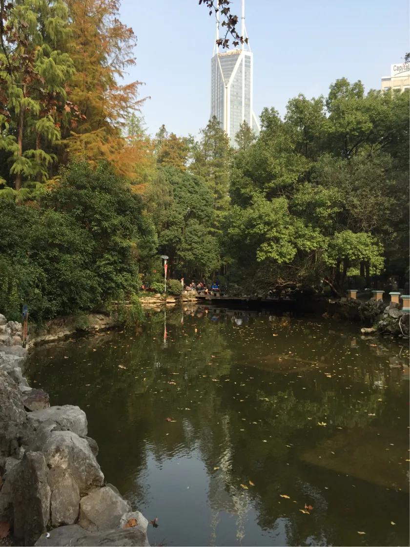 上海36個免費公園一覽,上海免費公園全景導覽,36個公園一覽無余