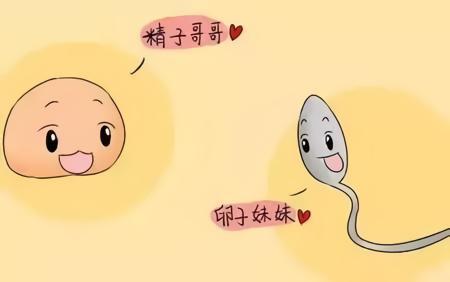 緊急避孕藥哪個牌子好,全面解析并比較各大品牌,緊急避孕藥品牌對比解析,哪個牌子更值得信任?