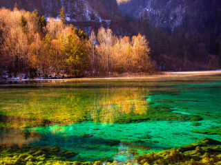 九寨溝風景圖片大全集，自然之美的視覺盛宴，九寨溝自然美景盡收眼底，風景圖片大全集視覺盛宴
