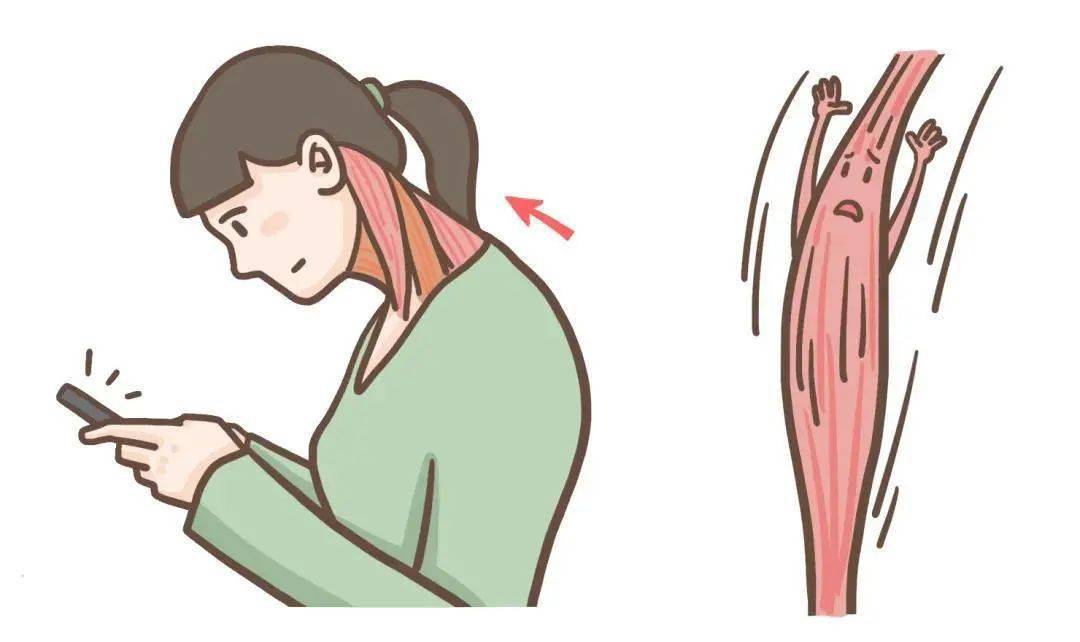 頸椎最怕的三個姿勢,如何預防頸椎損傷,頸椎保護關鍵,預防三大姿勢導致的頸椎損傷攻略