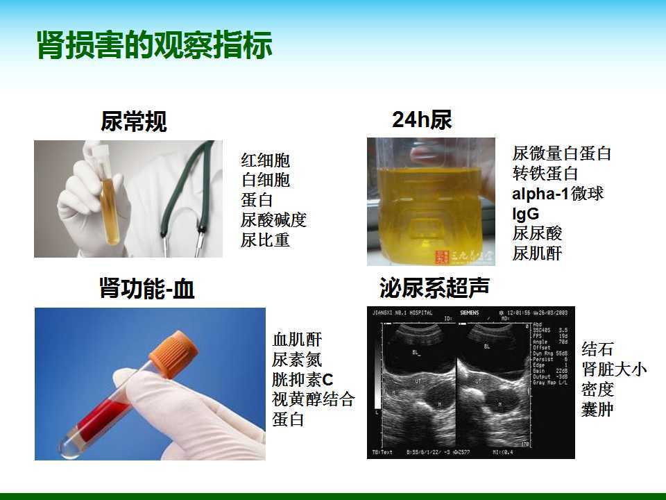尿酸水平升高與腎臟健康，尿酸460是否意味著腎臟已經受損？，尿酸水平升高與腎臟健康關系解析，尿酸460是否預示腎臟受損？