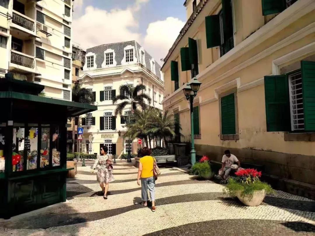 澳門二肖，探索與揭秘，澳門二肖，探索之旅與神秘揭秘