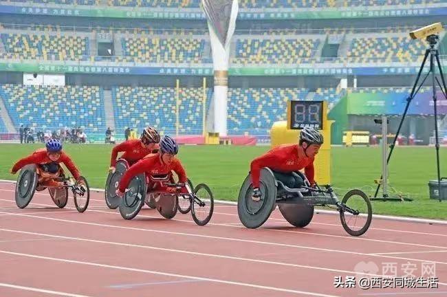 澳門精準預測與免費大全，探索未來的新澳門（2025展望），澳門未來展望，精準預測與免費大全（2025年展望）