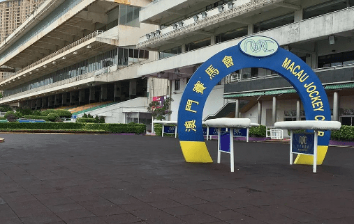 新澳門一肖一馬一特一中，探索與解析，澳門新玩法探索與解析，一肖一馬一特一中揭秘