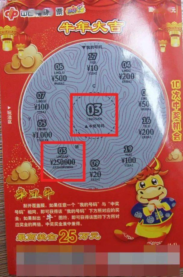 全年王中王資料一肖中特，深度解析與探索，全年王中王資料解析，一肖中特深度探索與解析