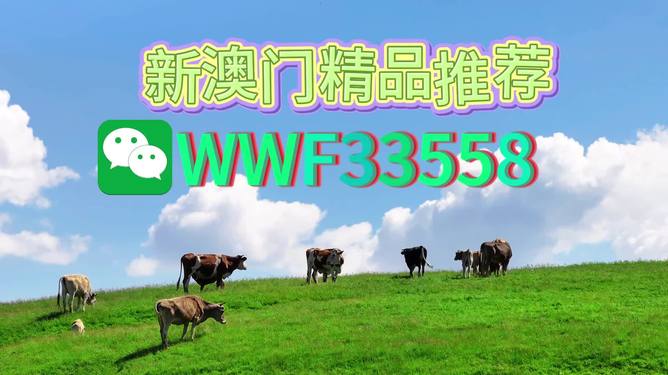 揭秘今晚9點30生肖運勢，你的生肖運勢如何？，揭秘今晚9點30生肖運勢，你的生肖運勢走向如何？