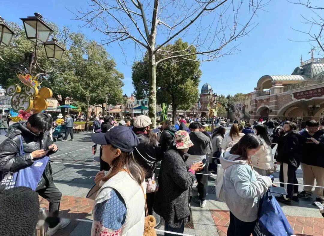 關于迪士尼上海倒閉的真相探討與深度解析，迪士尼上海倒閉真相深度探討與解析