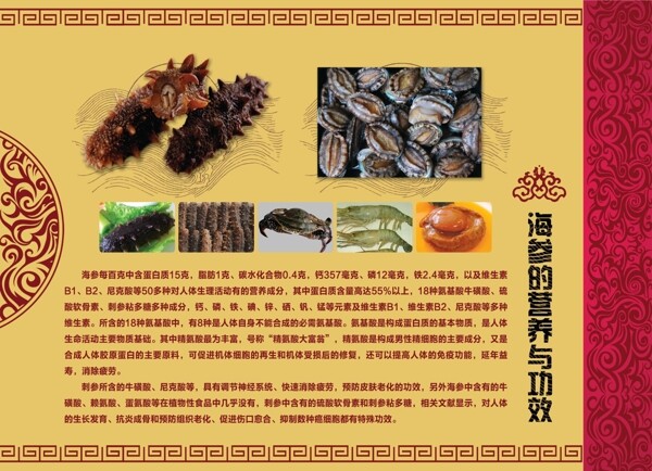 海參的功效，海洋之寶賦予的強大能量，海參的神奇功效，海洋之寶帶來的強大能量