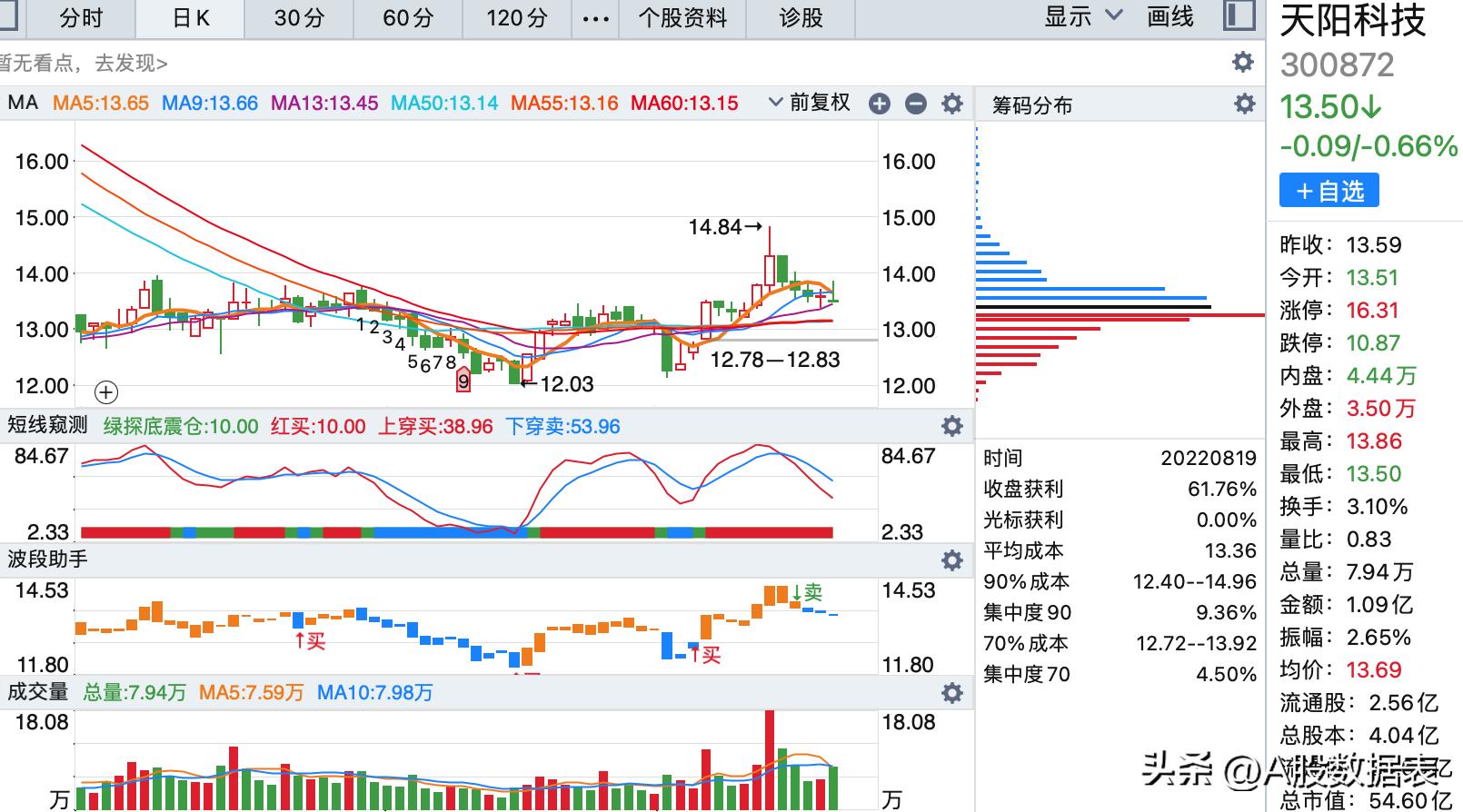天陽科技股票,探索前沿科技,洞悉投資機遇,天陽科技股票,探索前沿科技,把握投資機遇
