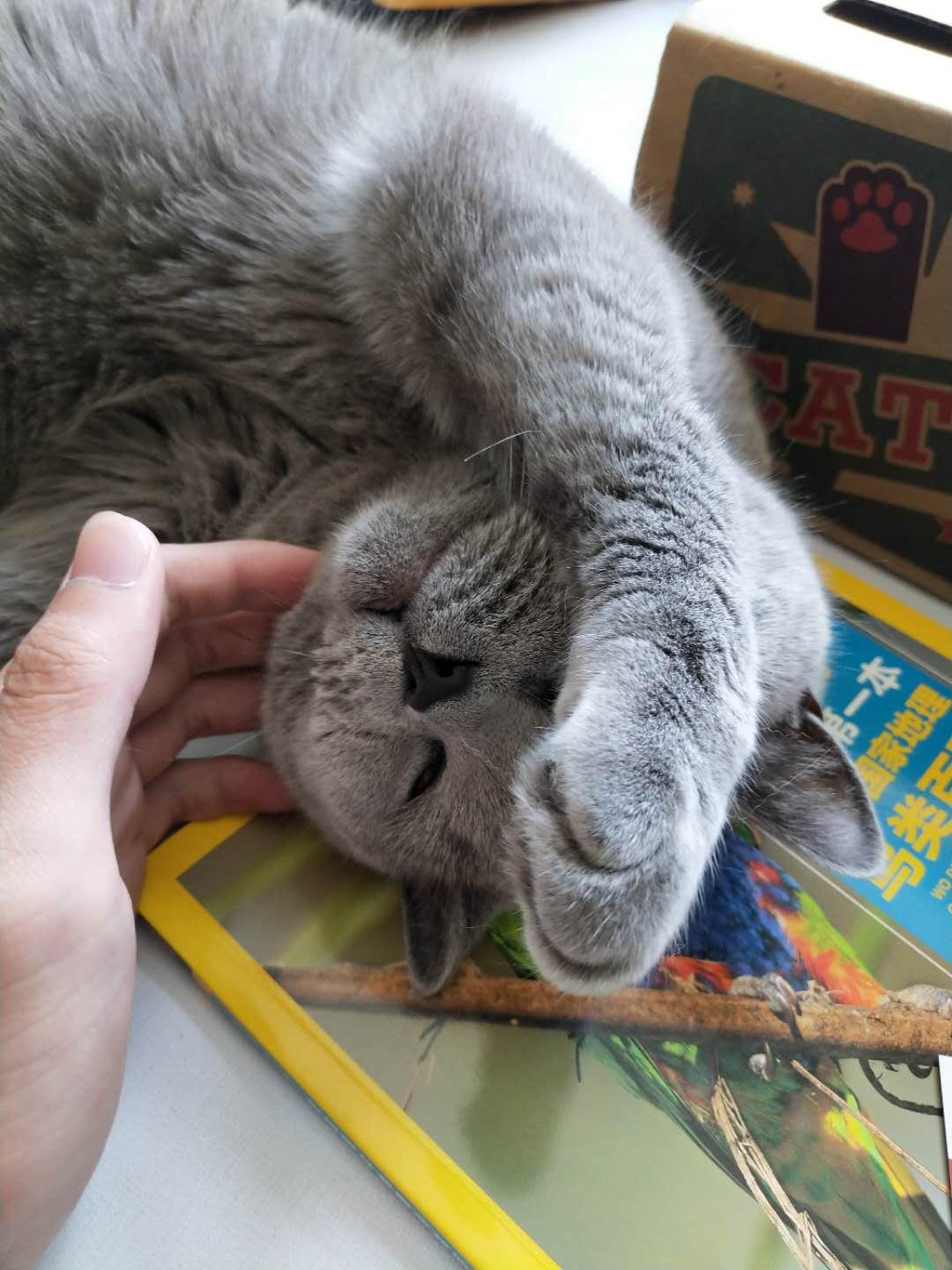 解決打呼嚕只需一杯水？真相揭秘與實用建議，解決打呼嚕只需一杯水？真相揭秘與實用方法總結(jié)